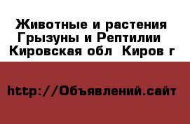 Животные и растения Грызуны и Рептилии. Кировская обл.,Киров г.